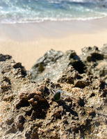 Dark Green Sea Glass Ring (size 8)